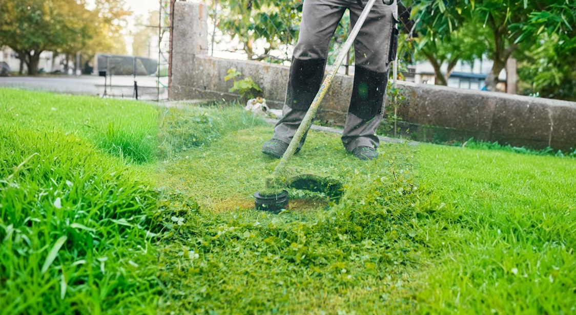 Garden Cleanups Melbourne