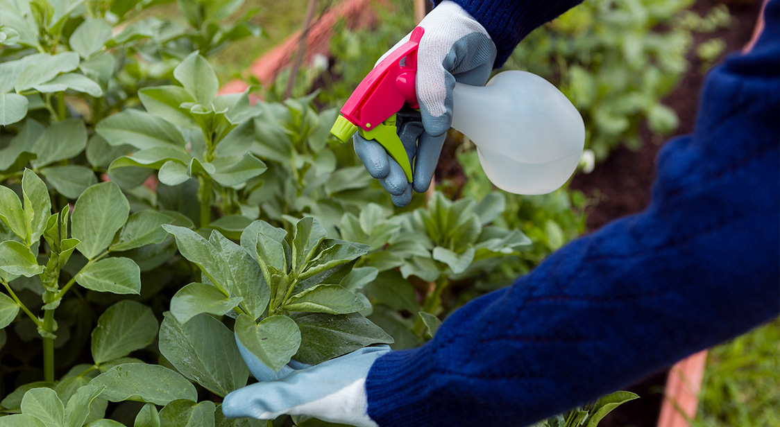 Garden Clean Up and Landscaping