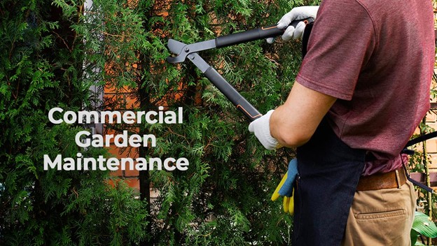 Commercial Garden Maintenance